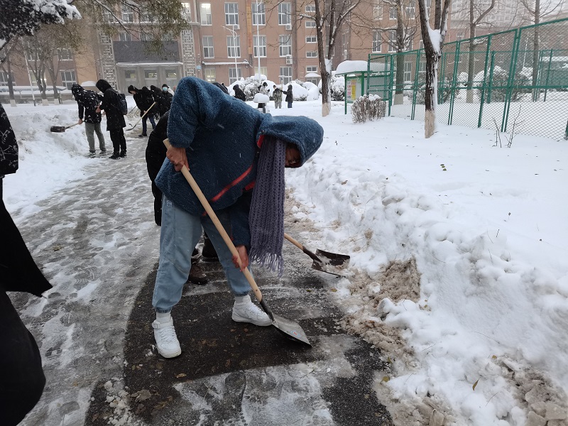 以雪為令材料學院學生黨員和志願者開展除雪工作